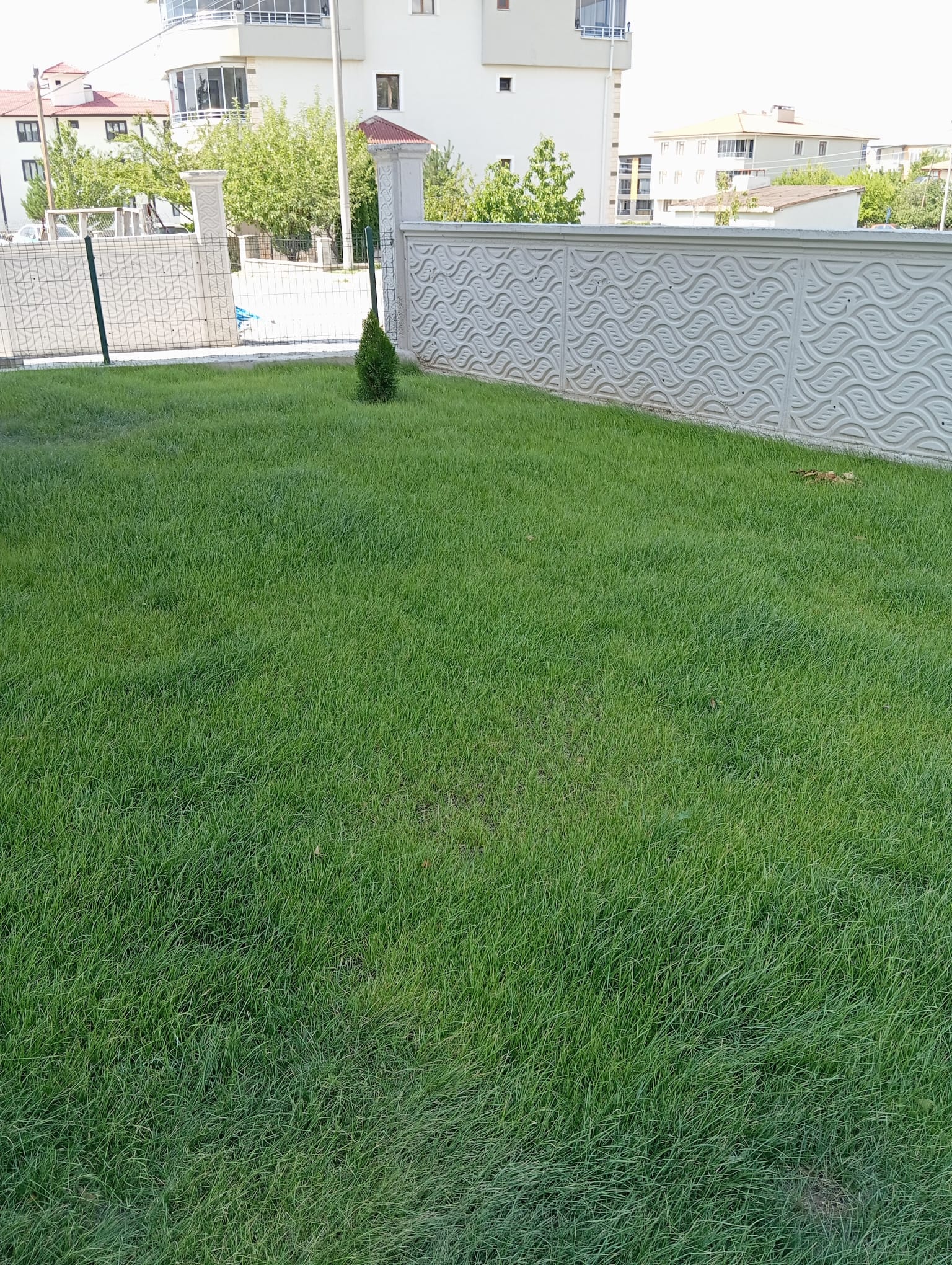 Erzincan Bahçe Düzenleme Poyraz Peyzaj Bahçeniz İle Mükemmelik