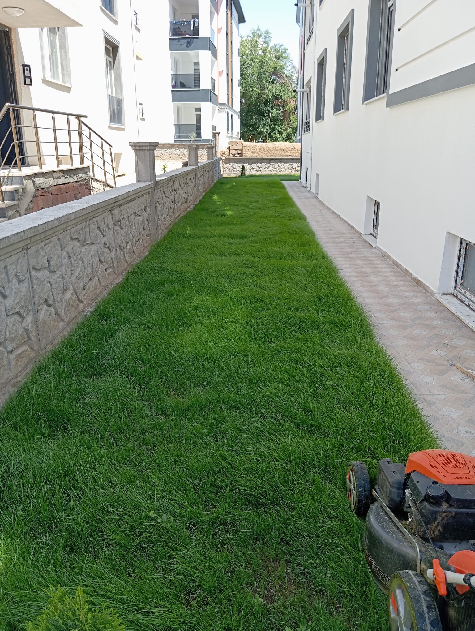 Erzincan Peyzaj Poyraz Peyzaj ile Yeşilin En Güzel Tonlarıyla Fark Yaratın